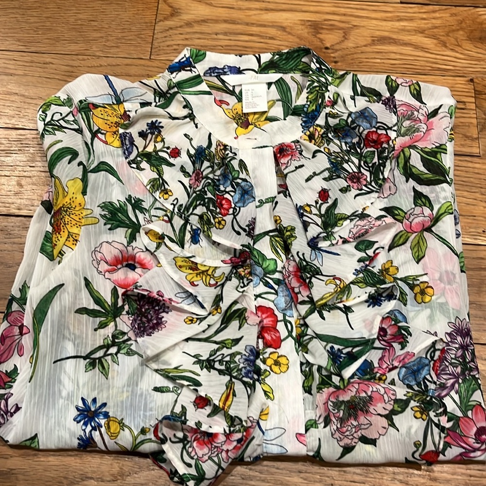 Long sleeve ruffle blouse sheer with bugs and flowers